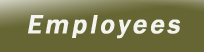 Click ot access the Employee Section