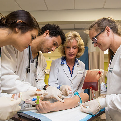 Nursing Program | Concordia University Irvine